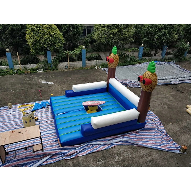 inflatable surfing game-5x5m