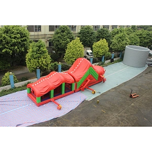 inflatable dinosaur obstacle course-13.5x3x4.3m