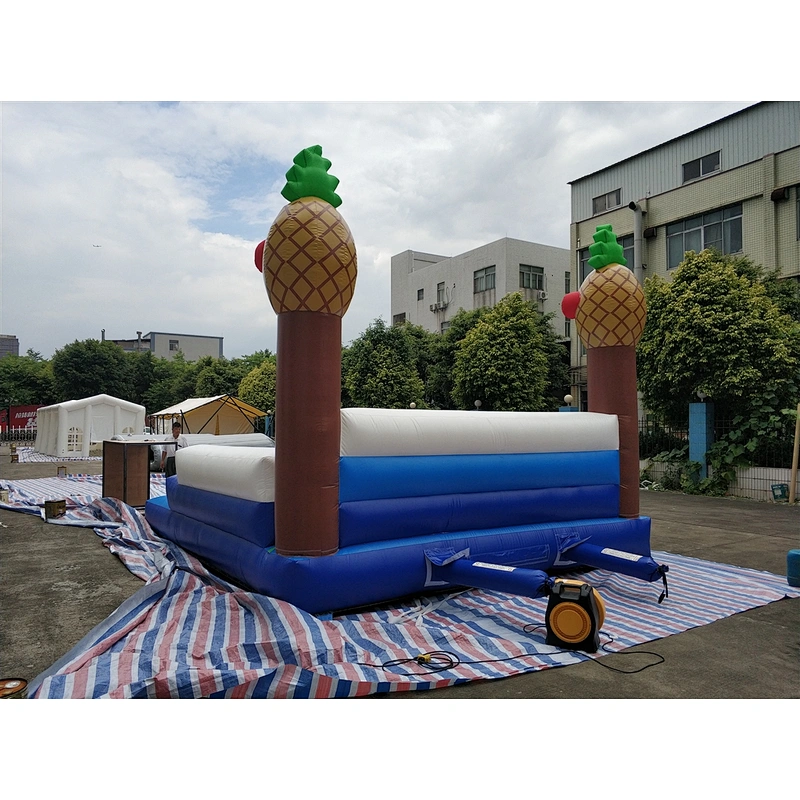 inflatable surfing game-5x5m