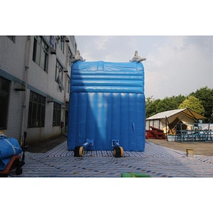 Inflatable whale slide-8x4.2x6m