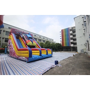 inflatable racing theme slide-9x6x6.6m