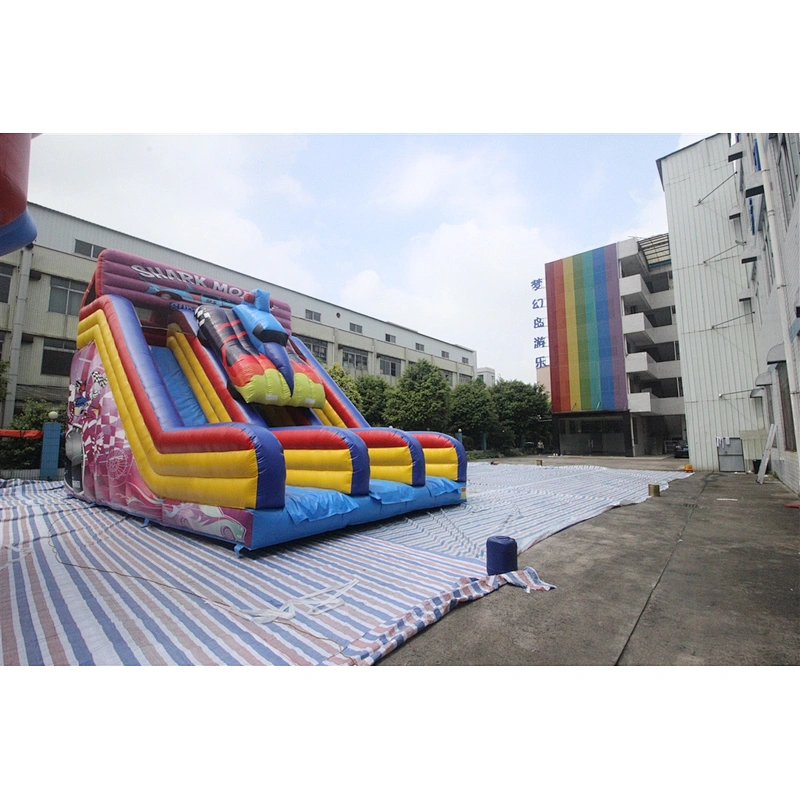 inflatable racing theme slide-9x6x6.6m