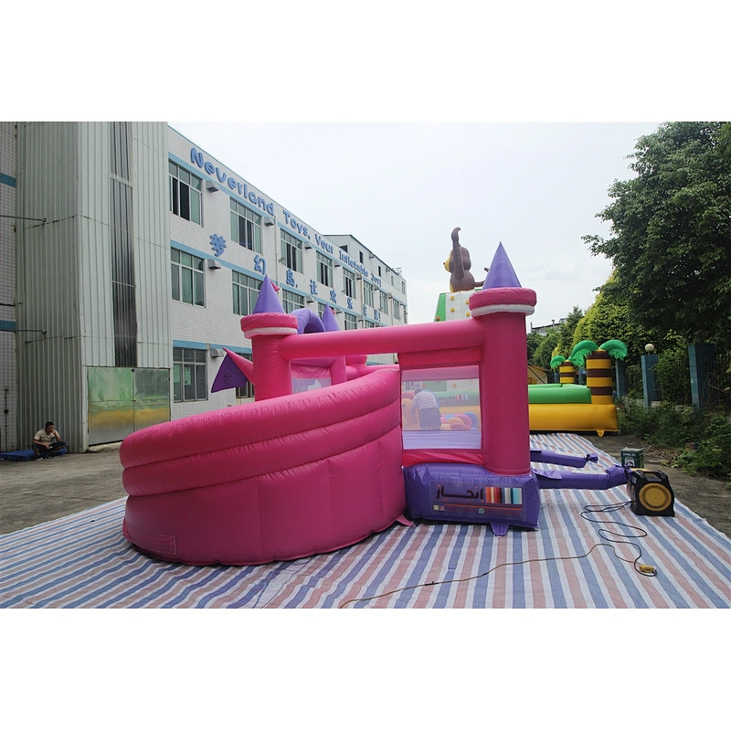 Inflatable princess theme bouncer with slide-5x4.5x2.8m