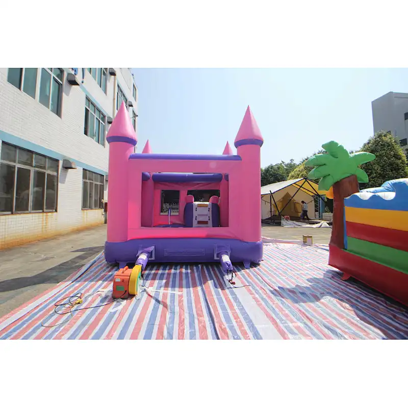 Inflatable customized princess bouncer-5.5x4x4m