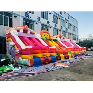 Inflatable customized panda,lion, candy theme water slide