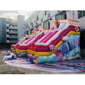 Inflatable customized panda,lion, candy theme water slide
