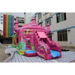 Inflatable bouncer-5.5x4x4.2m