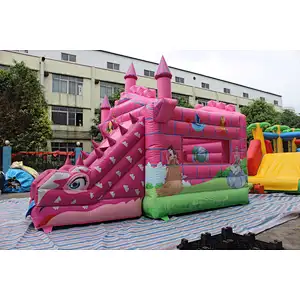 Inflatable bouncer-5.5x4x4.2m