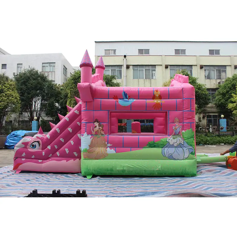 Inflatable bouncer-5.5x4x4.2m