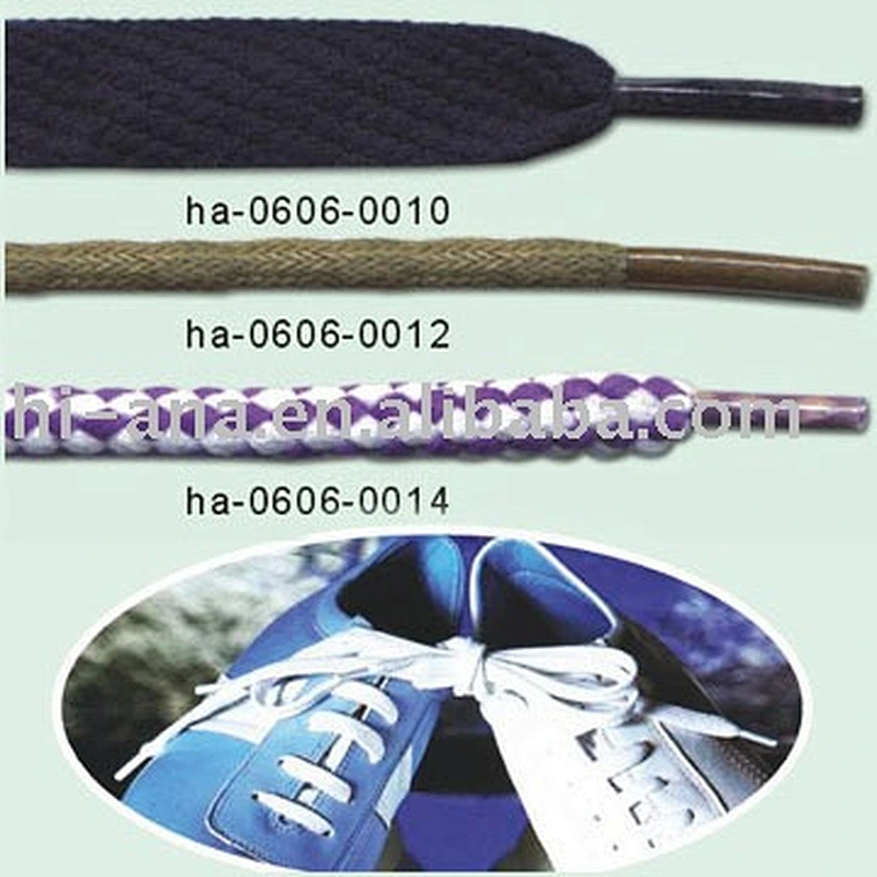 Shoelace