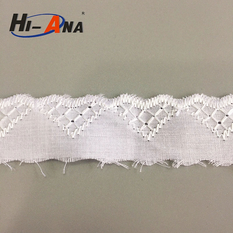 schiffli embroidery lace