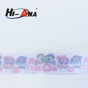 Custom Printed Ribbon Organza Ribbon 1