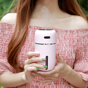 Humidifier