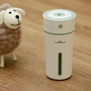 Humidifier