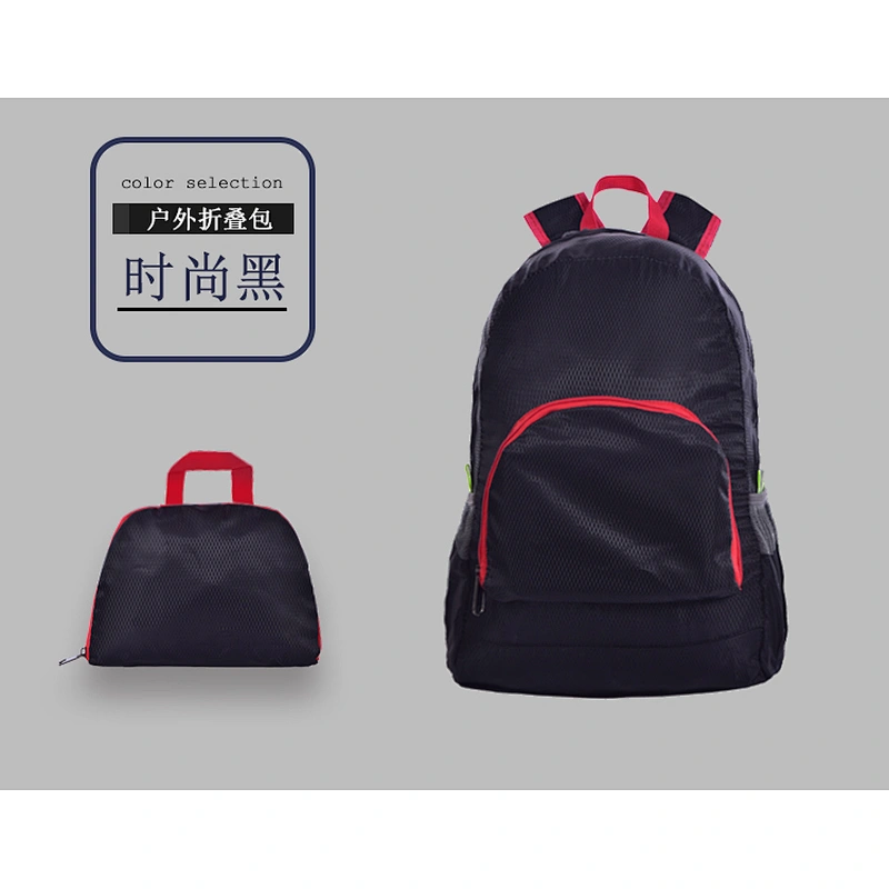 Folding Backpack