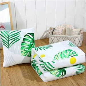 Cushion