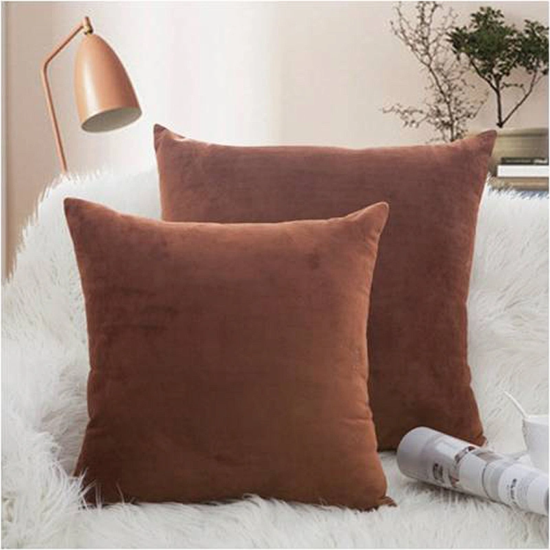 Cushion