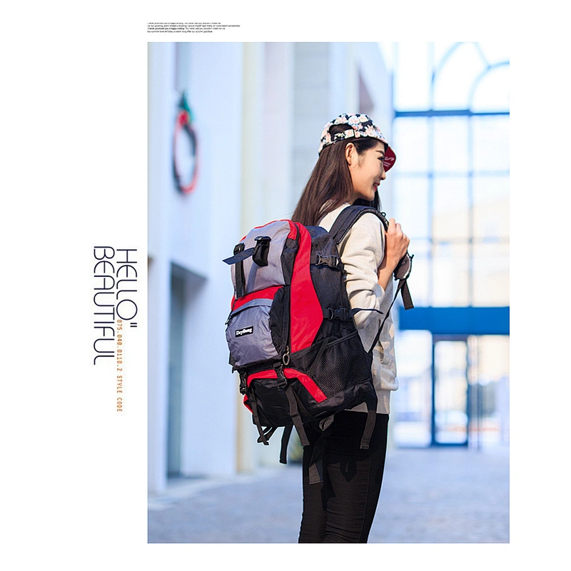 旅行包