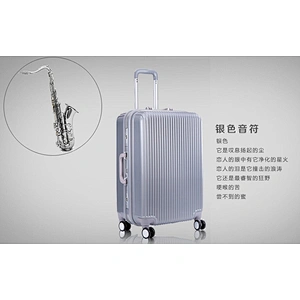 Trolley Case