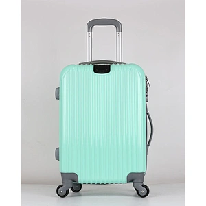 Trolley Case