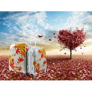 Trolley Case