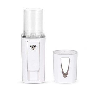 Ultrasonic Nanometer Moisturizing Spray Beauty Tool