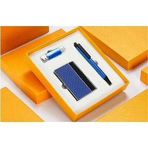 Business Gifts Set Customized Logo USB 2.0 Metal 8 G Flash Drives Dual-Use U Disk Signature Pen and Business Card Clip Set