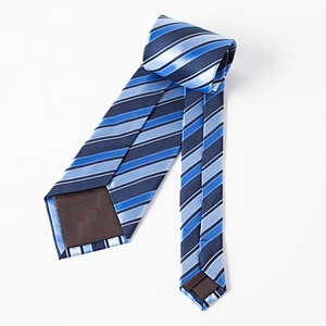 China latest fashion Low MOQ Neck Ties Set
