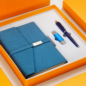 In Stock Dual-Used 8G U Disk Signature Pen and Notebook business notebook and pen gift set