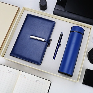 Cross-border wholesale agent distribution 500ml stainless steel vacuum roller pen notepad business gift set franchise