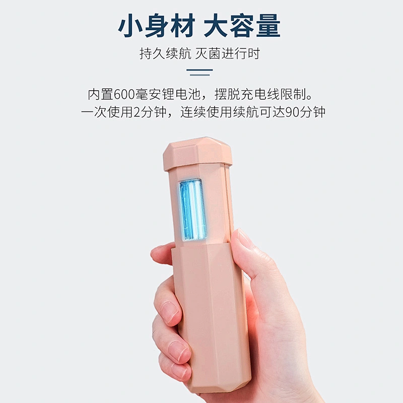 Portable disinfection lamp