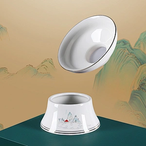 10pcs tea set