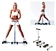 arm leg exercise machine