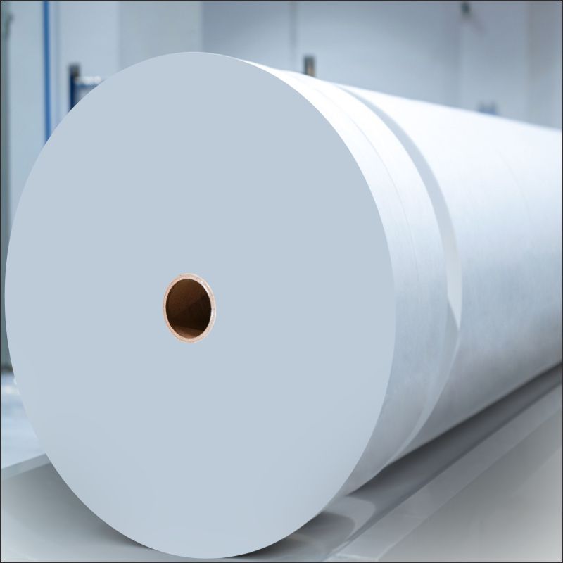 Hydrophilic Top Sheet Nonwoven
