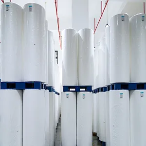 100% PP Interlining Fabric for Garments