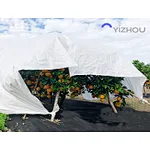 Anti-UV Treated Nonwoven (SMMSS NW) Fabric