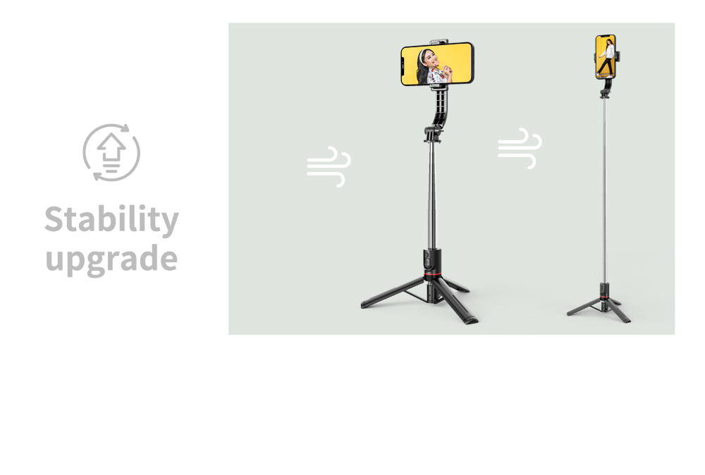 stability uograde