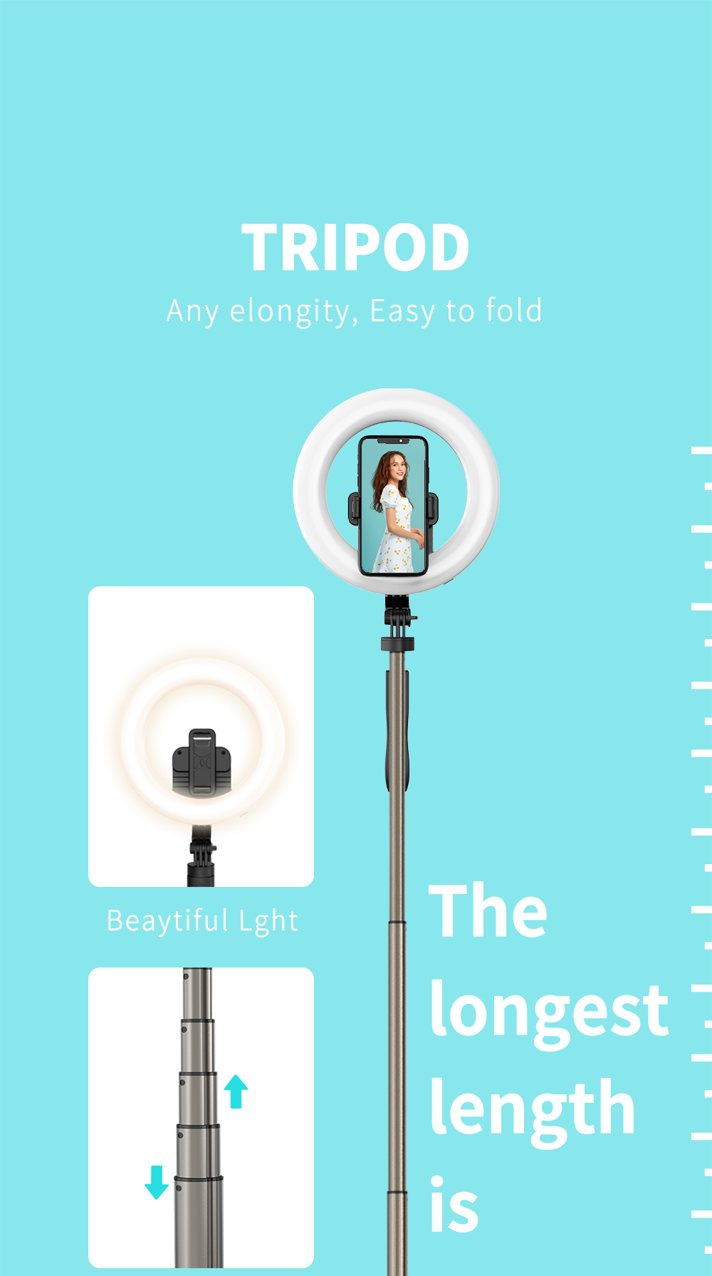 has longest length