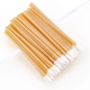 High Quality Transparent Plastic Handle Disposable Lipstick Brush Makeup Tools Lip Gloss Wand Applicators Wholesale
