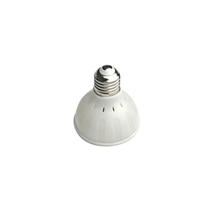 High quality 6W AC DC 12V 24V  PAR25 LED Light RGB Color Changing E27 Pool LED Lights
