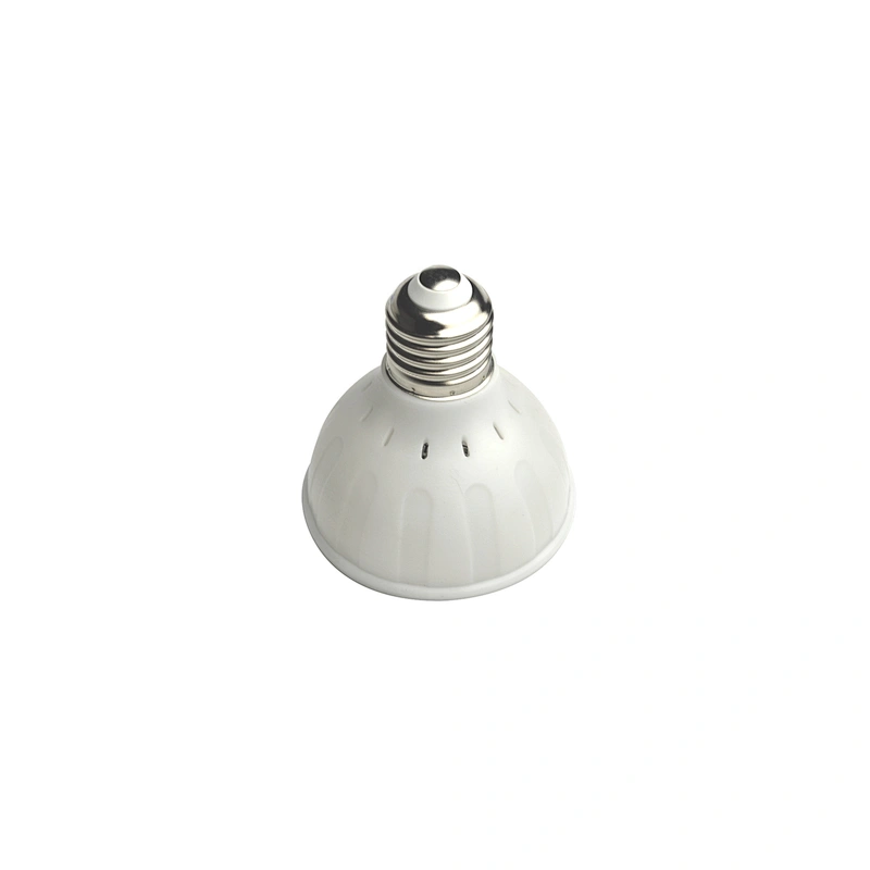 High quality 6W AC DC 12V 24V  PAR25 LED Light RGB Color Changing E27 Pool LED Lights