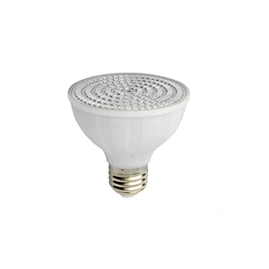 High quality 6W AC DC 12V 24V  PAR25 LED Light RGB Color Changing E27 Pool LED Lights