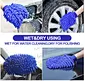 car wash mitt