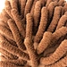 Chenille Wash Mitt