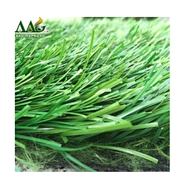 Holland imported football synthetic grass
