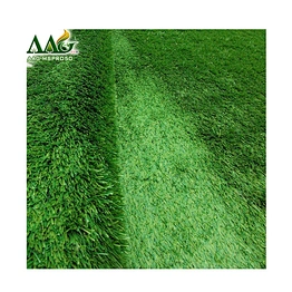synthetic grass lawn Holland imported thiolon PE
