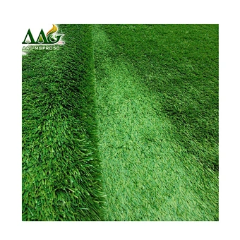 synthetic grass lawn Holland imported thiolon PE