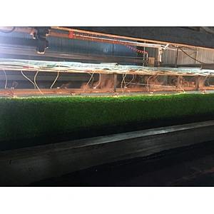 Professional Paddle Courts Artificial Grass Carpet factory direct sale