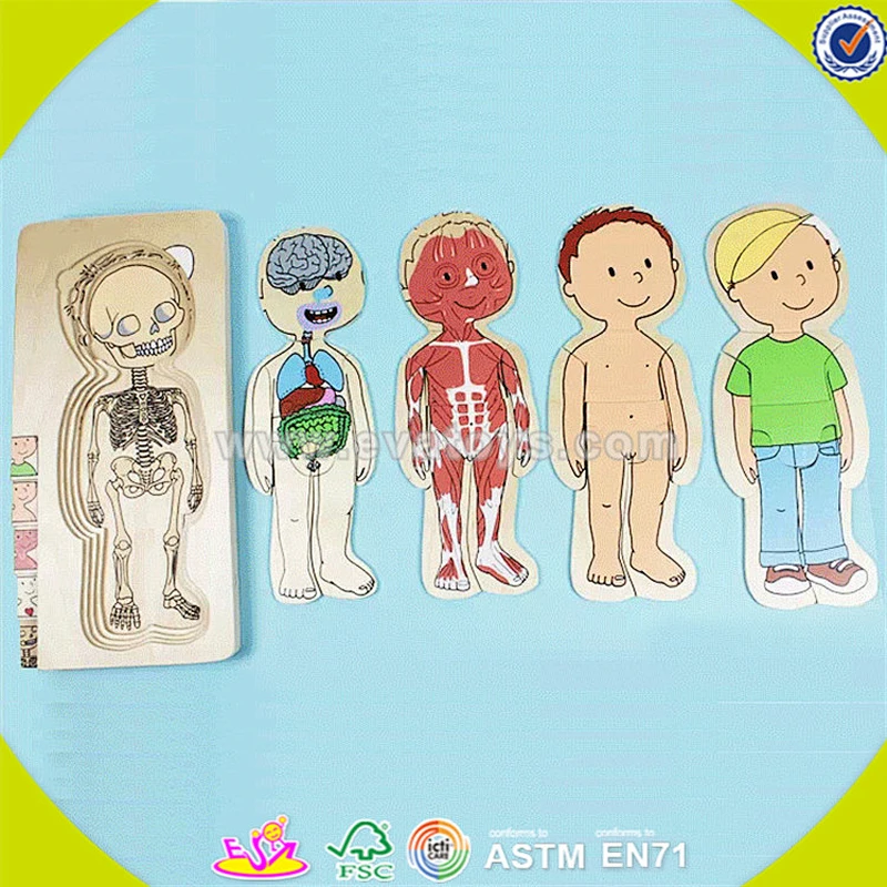 wholesale funny human shape jigsaw toy newest kids wooden human shape jigsaw toy colorful wooden human shape jigsaw toy W14A137