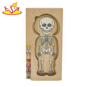 2020 Customize educational wooden body systems puzzle for children W12E057
